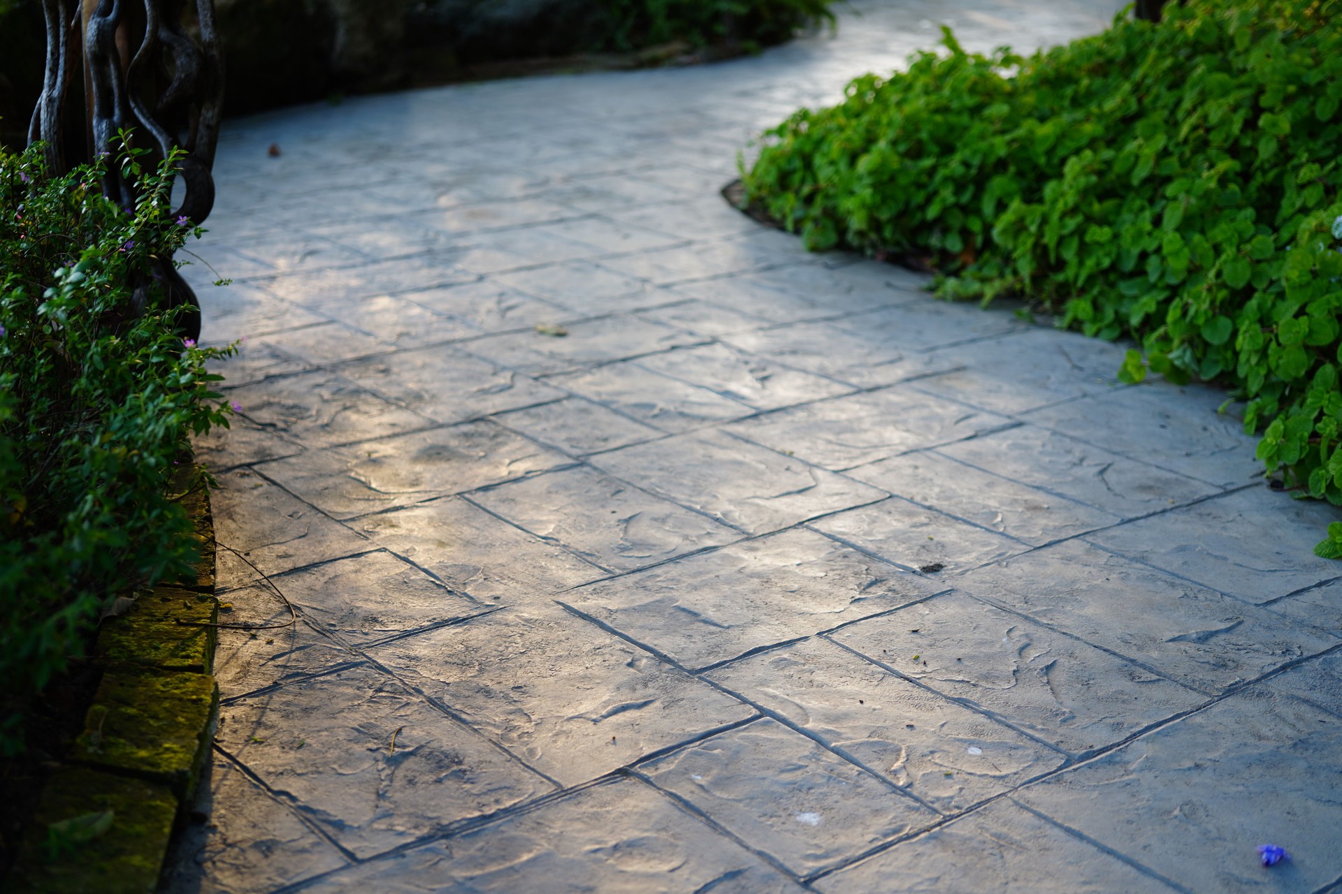 Walkway in garden